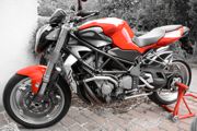 MV Agusta Brutale 750S (B4, BJ2005)